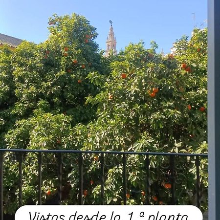 Apartamentos en la Plaza Doña Elvira, 7 Sevilla Exterior foto