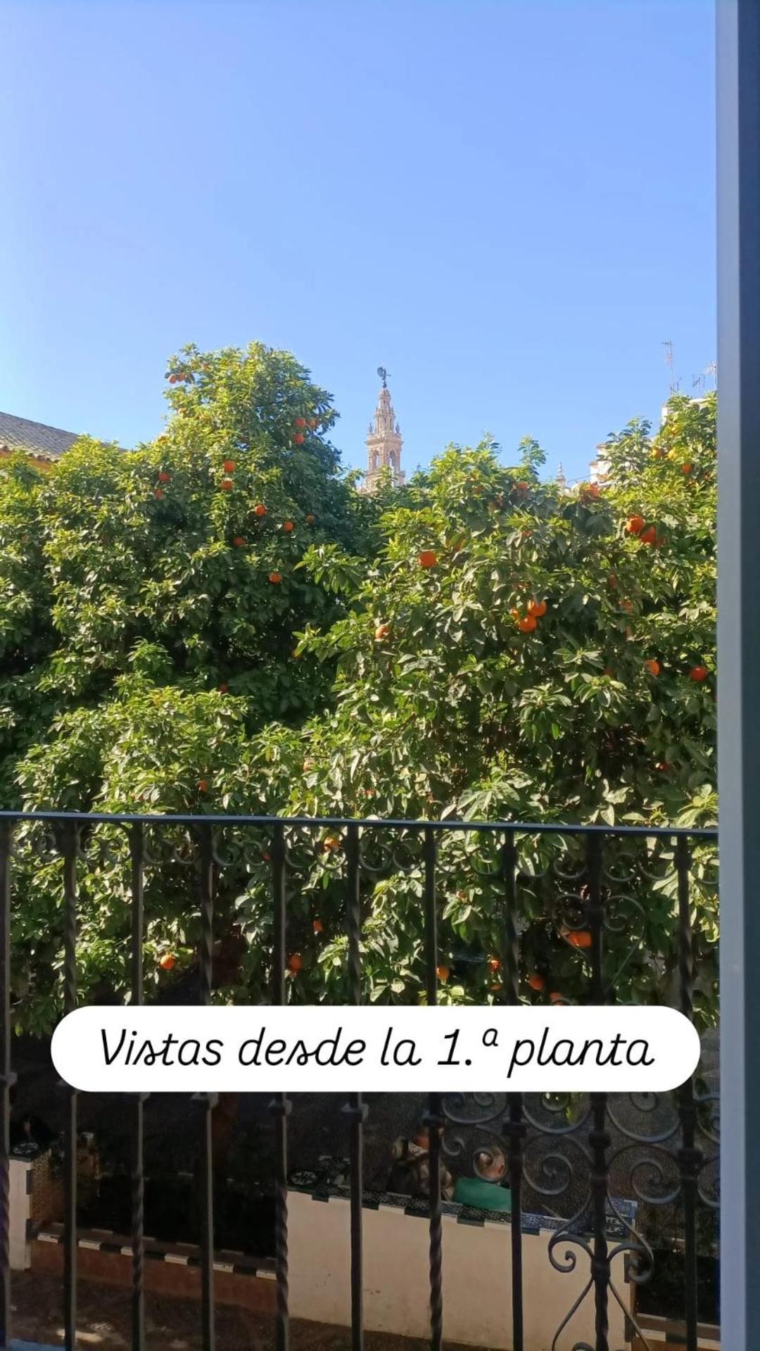 Apartamentos en la Plaza Doña Elvira, 7 Sevilla Exterior foto